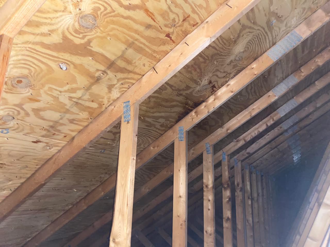 roof leak repair albany ny