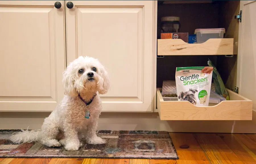 home repairs clifton park